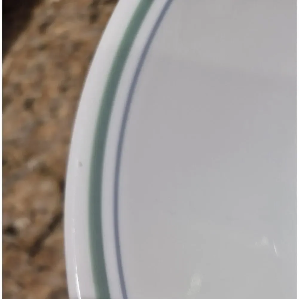 Corelle Country Cottage Blue/Green Trim 8.5